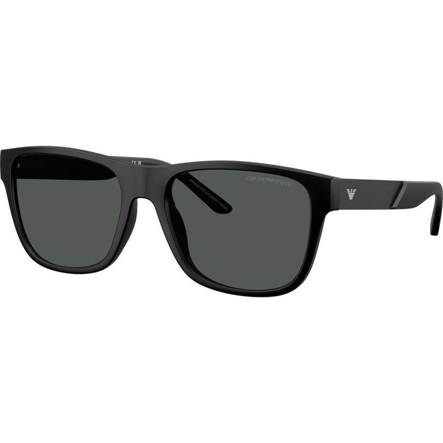Emporio Armani  4243 5001T3
