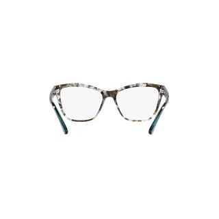 Emporio Armani 3193 5097