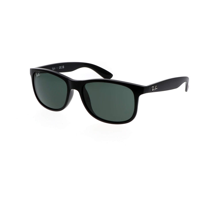 Ray Ban RB4202 60697155
